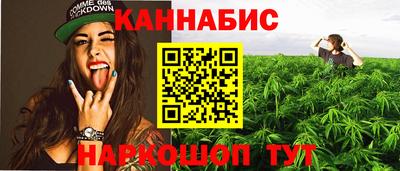 спиды Дубна