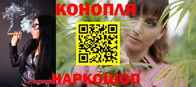 спиды Дубна